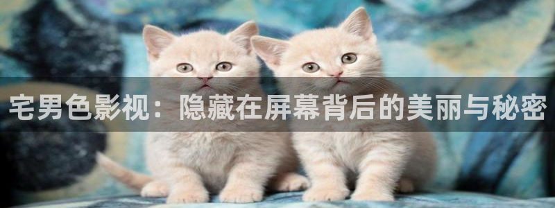 小小影视首页：宅男色影视：隐藏在屏幕背后的美丽与秘密