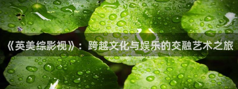 小小影视日韩：《英美综影视》：跨越文化与娱乐的交融艺术之旅