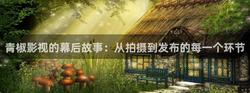 神马我不卡小小影视网：青椒影视的幕后故事：从拍摄到发布的每一个环节