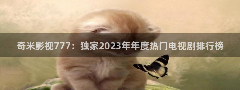 小小影视吧：奇米影视777：独家2023年年度热门电视剧排行榜
