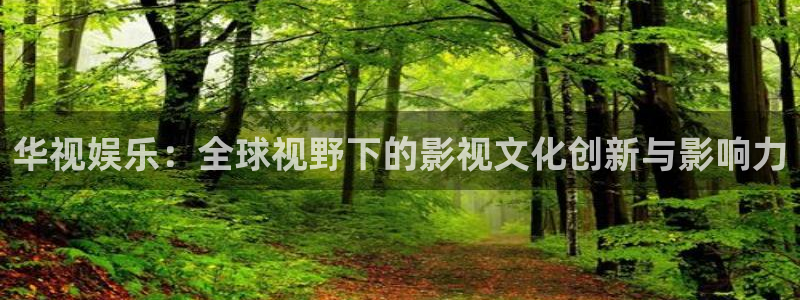 小小影视免费观看全集：华视娱乐：全球视野下的影视文化创新与影响力