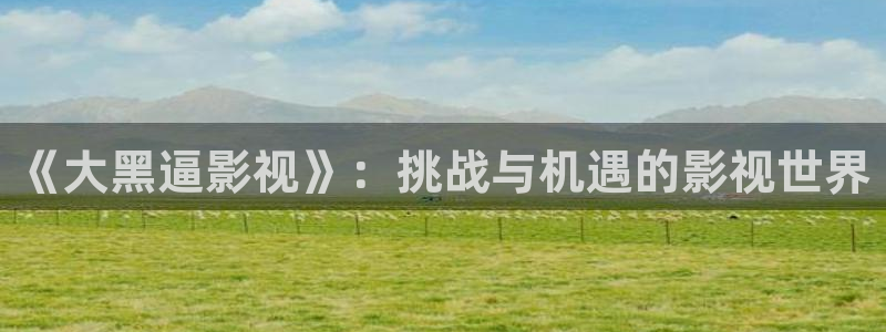 小小影视软件免费下载：《大黑逼影视》：挑战与机遇的影视世界