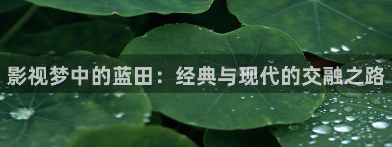 小小影视下载正版ios：影视梦中的蓝田：经典与现代的交融之路