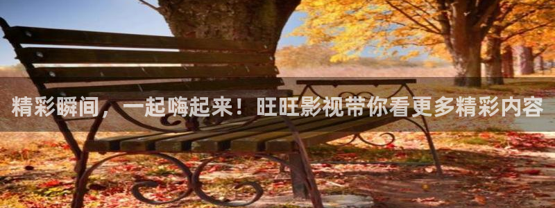 小小影院在线：精彩瞬间，一起嗨起来！旺旺影视带你看更多精彩内容
