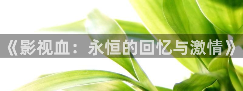 小小影视最新官网：《影视血：永恒的回忆与激情》