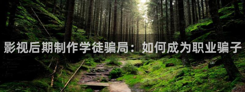 小小影视正版官网：影视后期制作学徒骗局：如何成为职业骗子