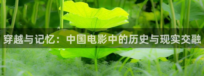 下载小小影视：穿越与记忆：中国电影中的历史与现实交融