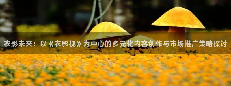小小影视 tv版：衣影未来：以《衣影视》为中心的多元化内容创作与市场推广策略探讨