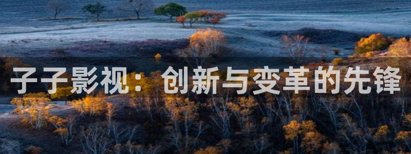 小小影视官方正版下载：子子影视：创新与变革的先锋
